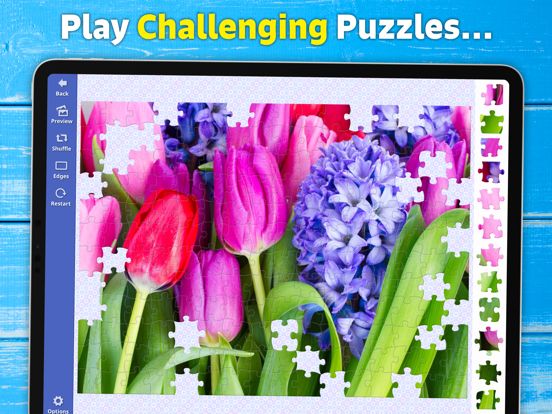 Jigsaw Bug: HD Puzzle Game