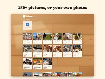 Jigsaw Puzzles!