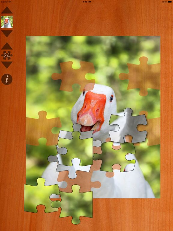 Jigsaws