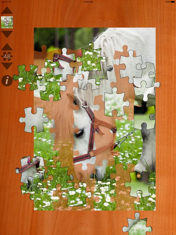 Jigsaws