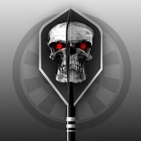 KL Darts Pro