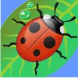 Kids games for Babies
