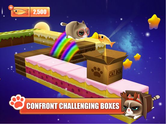Kitty in the Box