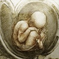 Leonardo da Vinci: Anatomy