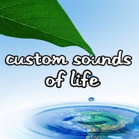 Life SDS