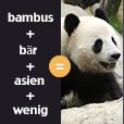 Logos Quiz - Guess the brands!
