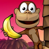 M Bongo