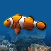 Marine Aquarium 2.6