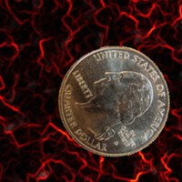Marty's Coin
