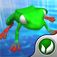 Millionaire Frog