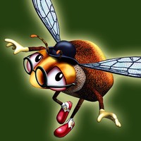 Mister Bumblebee Racing Champion