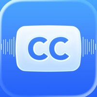 MixCaptions: Субтитры для вид
