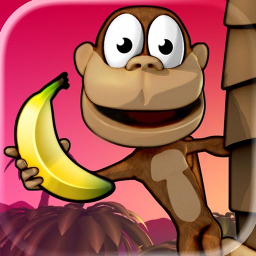 Monkey Bongo