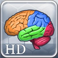 More Brain Exercise with Dr. Kawashima HD