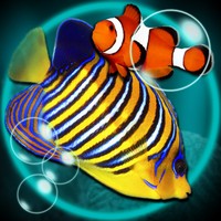 MyReef 3D