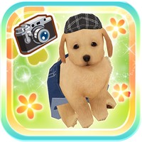 My Dog My Room 2 