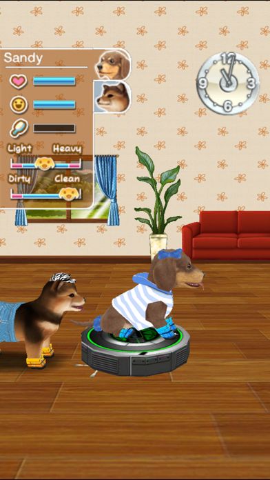 My Dog My Room