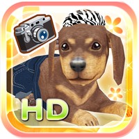 My Dog My Room HD