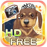 My Dog My Room HD