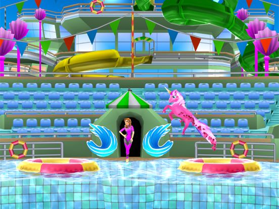 My Dolphin Show