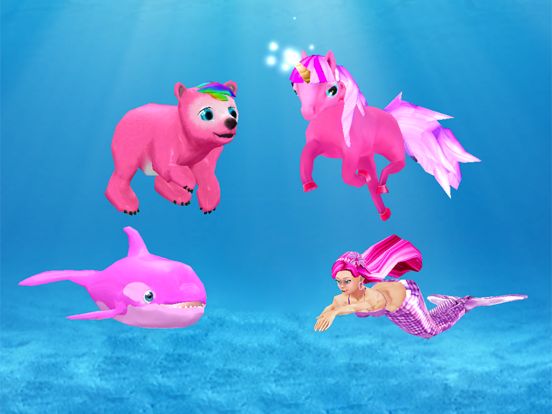 My Dolphin Show