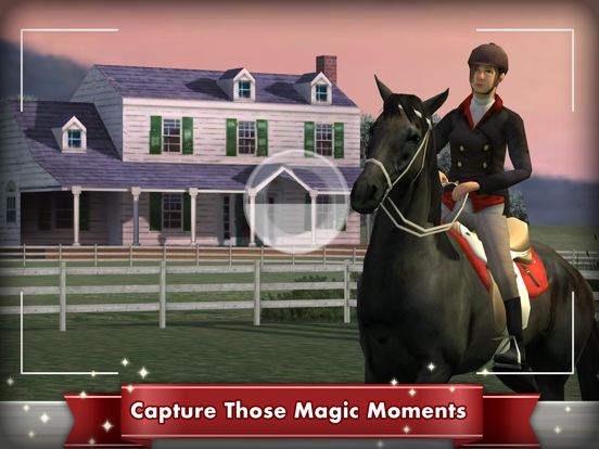 My Horse