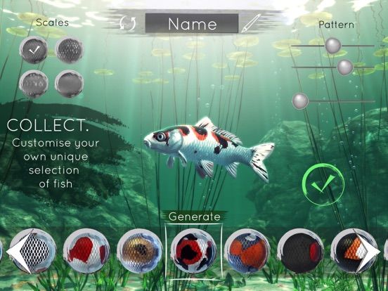 My Koi