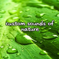 Nature SDS