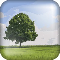 Our Climate