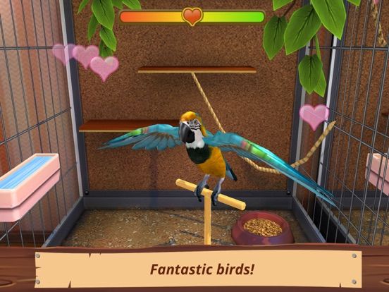 Pet World Premium