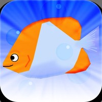Phin's Quest
