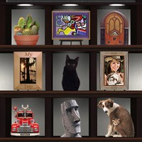 PhotoShelf!