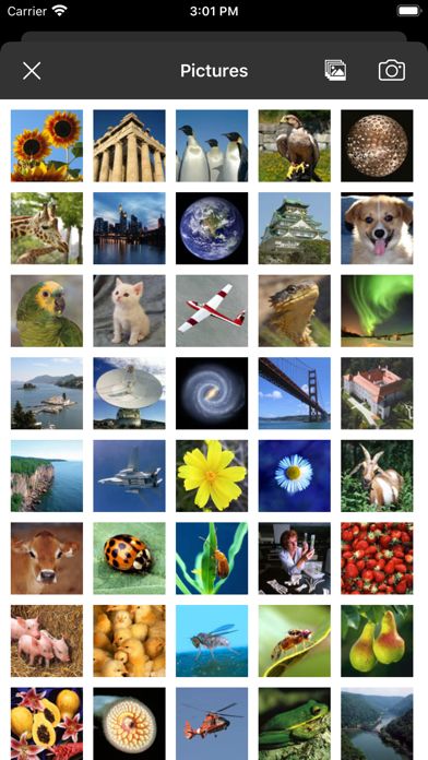 Picture Tile Slider