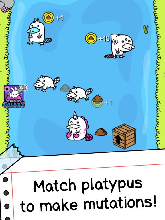 Platypus Evolution: Match Game