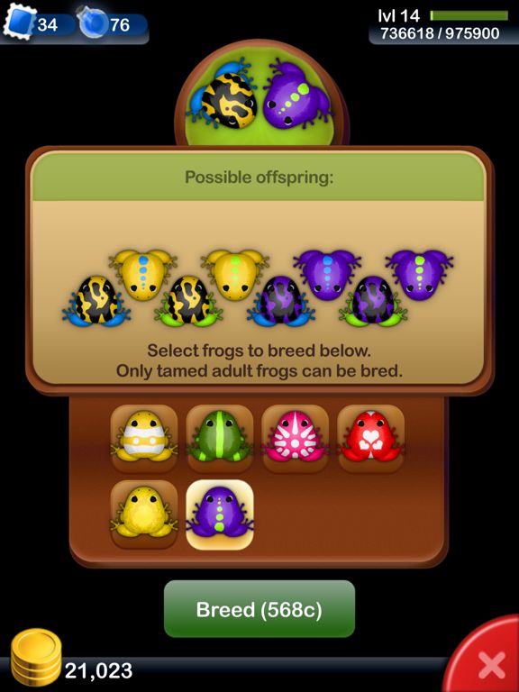 Pocket Frogs