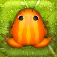 Pocket Frogs
