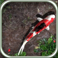Pocket Pond HD
