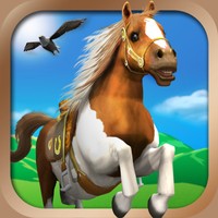 Pony Trails