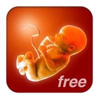 Pregnancy ☺