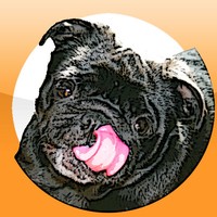 Pug Mop Screen