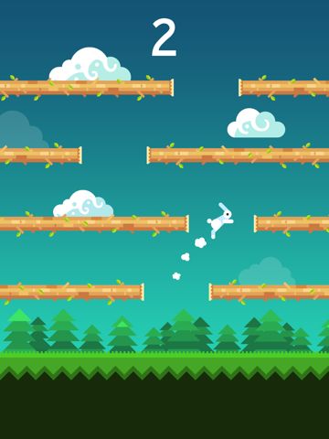 Rabbit Jump