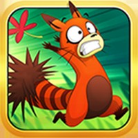 Rakoo