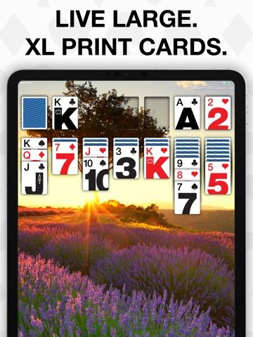 Real Solitaire Pro for iPad