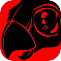 Red Game Without A Great Name