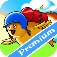 RocketBird Premium for iPad