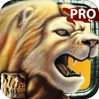 Safari 2 Pro