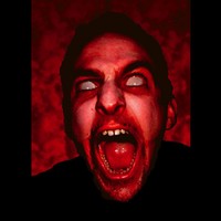 Scream In The Dark