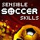 Sensible Soccer Skills