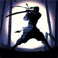 Shadow Fight 2