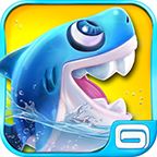 Shark Dash